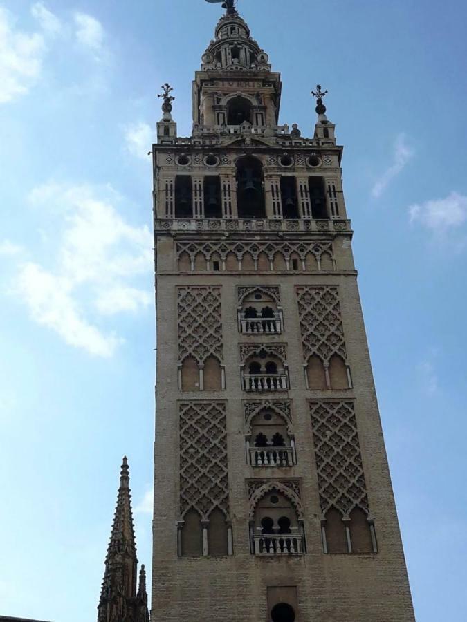 Nool Sevilla المظهر الخارجي الصورة
