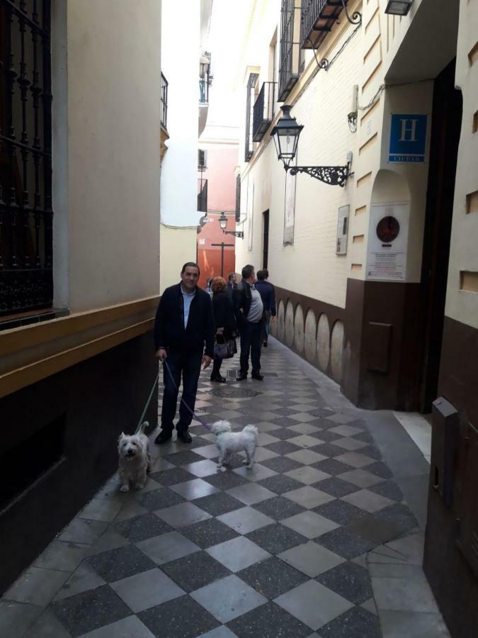 Nool Sevilla المظهر الخارجي الصورة